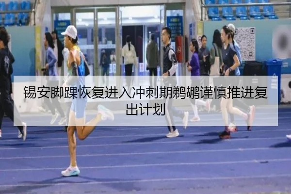 锡安脚踝恢复进入冲刺期鹈鹕谨慎推进复出计划